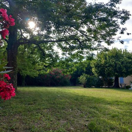 Le Petit Mas Des Alpilles En Provence Villa Saint-Etienne-du-Gres ภายนอก รูปภาพ