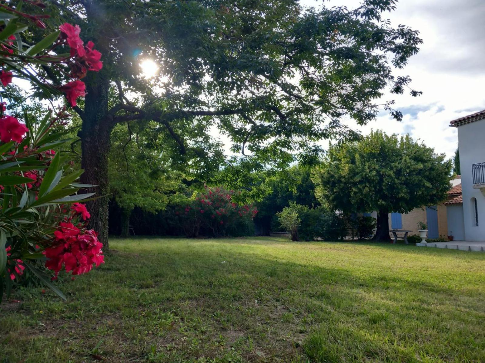 Le Petit Mas Des Alpilles En Provence Villa Saint-Etienne-du-Gres ภายนอก รูปภาพ